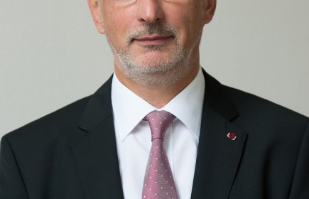 Prof.dr.ir.Luc Taerwe (UGent)